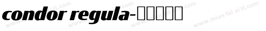 condor regula字体转换